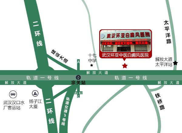 来院路线